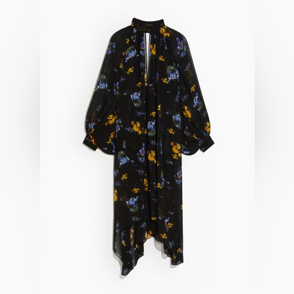 Hm studio collection floral
Patterned chiffon dress - Picture 4 of 5